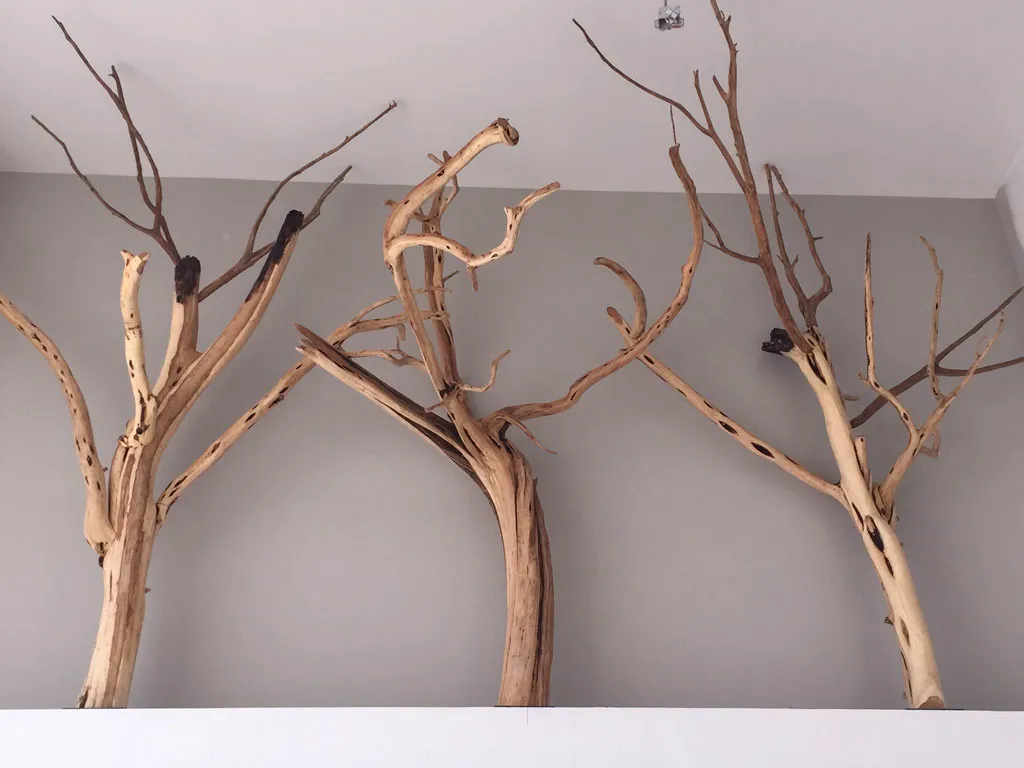 custom-wooden-sculptures-san-antonio-tx-22